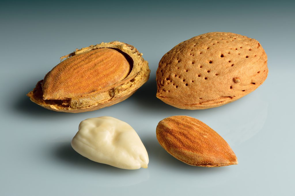 Almonds: light brown nuts, in shell, in shell broken to see nut, out of shell with peel, out of shell without peel