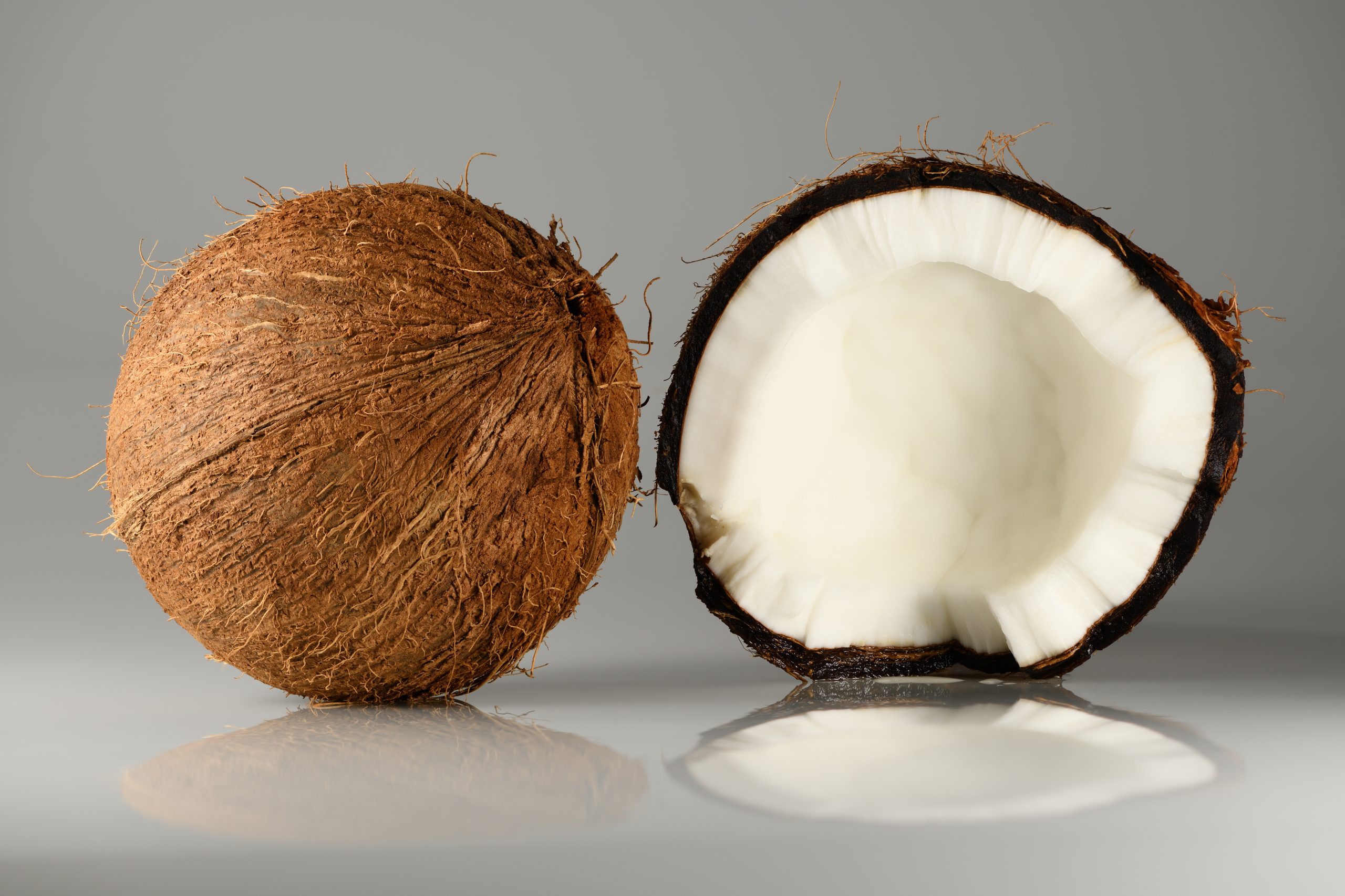 coconut cut in half, showing white cut side and brown hairy side - on grey background