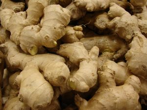 Pile of knobly pale beige tubers of ginger plant