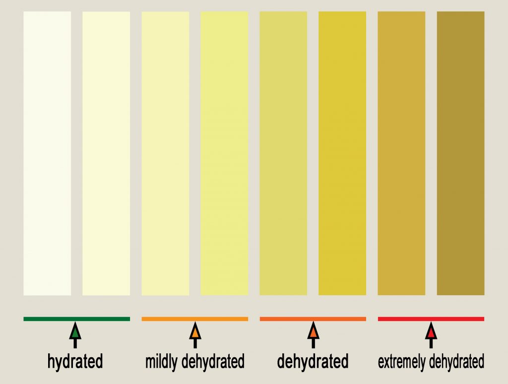Eight strips of colour ranging from almost clear to dark yellow, indicating hydration by colour of urine