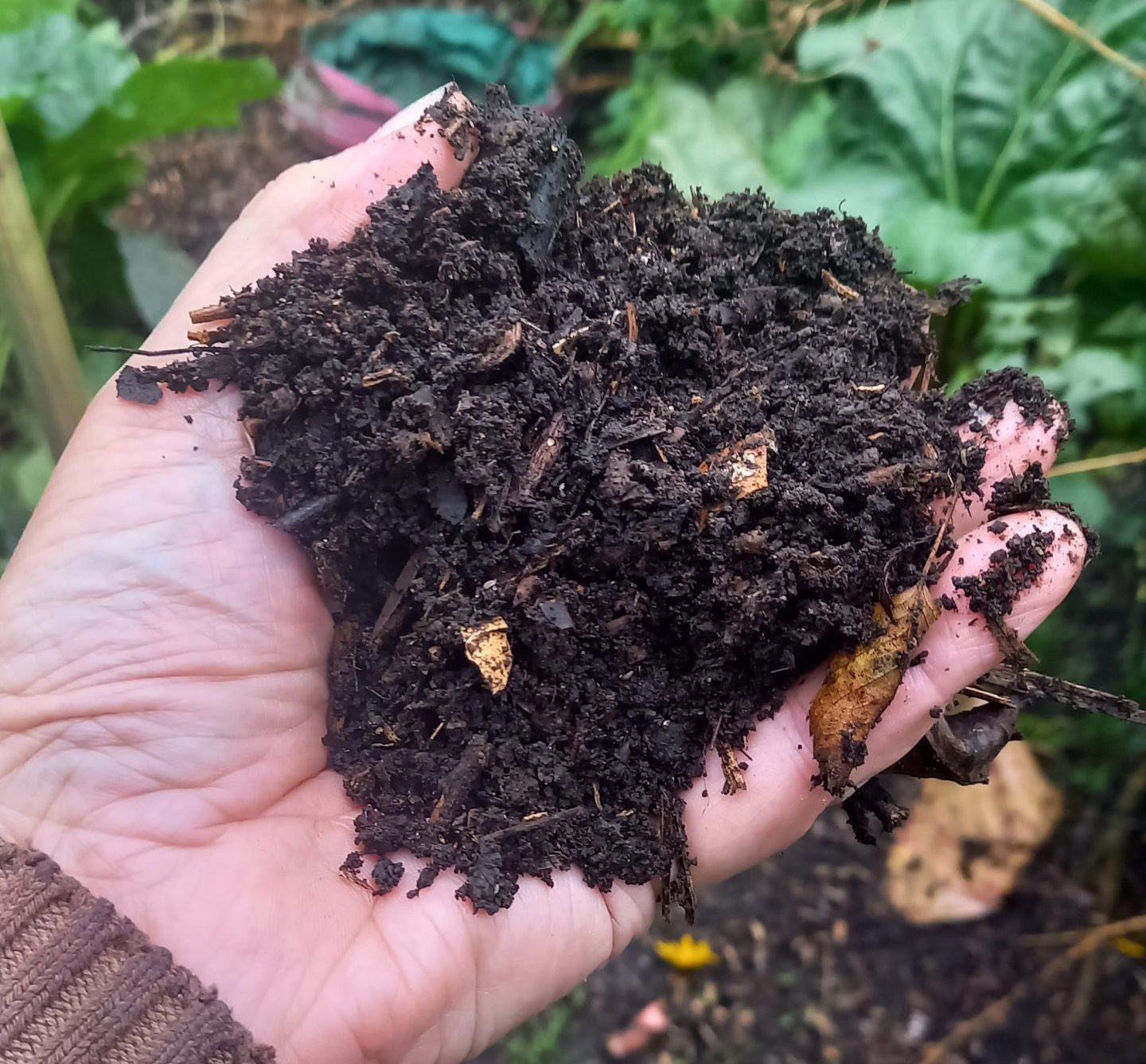 Hand containing dark brown compost