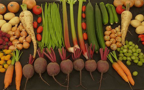 Beetroot, beans, cucumber, tomatoes, parsnips, carrots, potatoes, onions